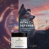 Adored Beast - Vital Defense