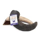 Icelandic+  Large Lamb Horn