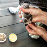 Wilderdog - Pawjam