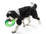 West Paw - Sailz Frisbee