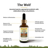 Adored Beast - The Wolf