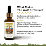 Adored Beast - The Wolf