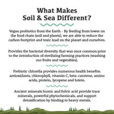 Adored Beast - Soil & Sea | Primordial Pre & Probiotics