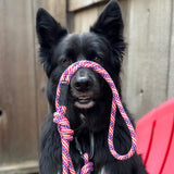 Wilderdog - Small Carabiner Rope Leash