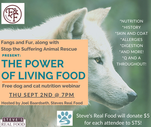 The Power of Living Food - Presented by Steve's Real Food