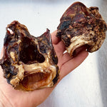 Girls Gone Raw - Beef Traches Glottis