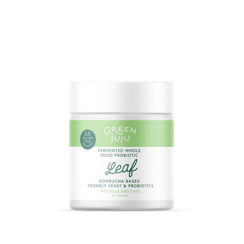 Green Juju - Lead, Fermented Kombucha Based Probiotic