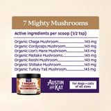 Austin & Kat - Mushroom Medley
