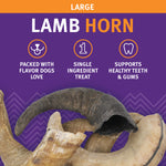 Icelandic+  Large Lamb Horn