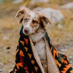 Wilderdog - Sherpa Fleece Waterproof Blanket