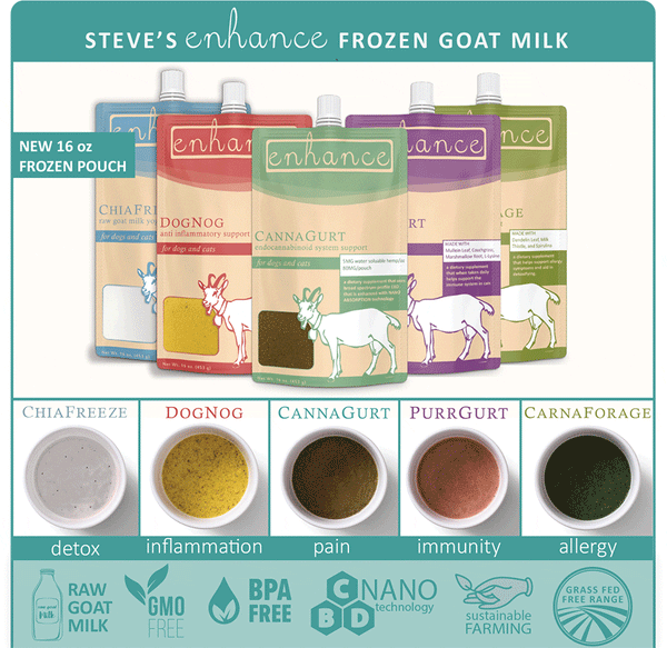 Steve s Real Food 16oz DogNog