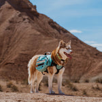 Wilderdog - Dog Backpack [Seafoam Green]