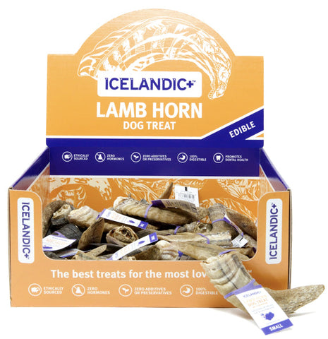 Icelandic+  Lamb Horn w/ Marrow
