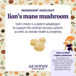 Austin & Kat - Mushroom Medley