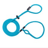 Harness Lead - Reflective Blue/Turquoise